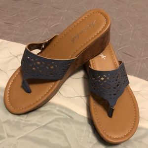 NEW in BOX BLUE WEDGE SANDALS.
